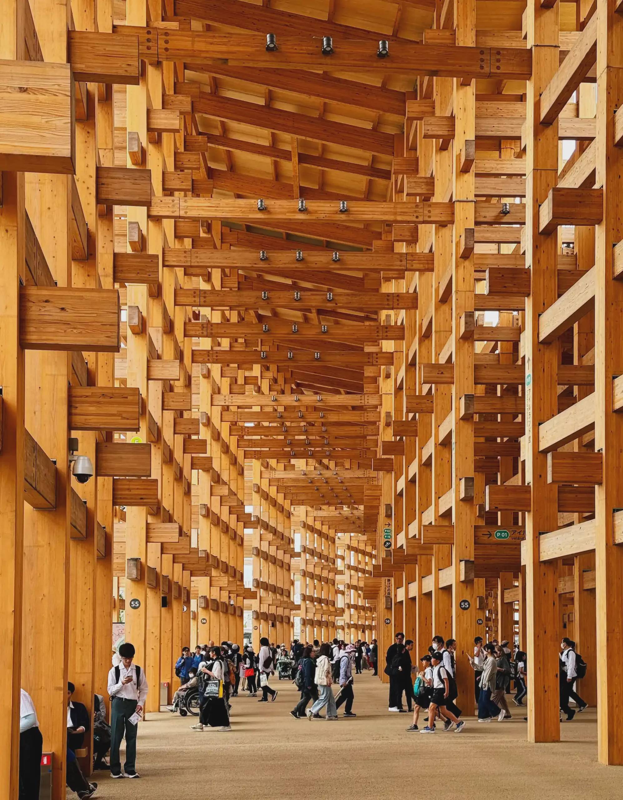 The Excitement Surrounding the Massive Timber Ring at Expo 2025